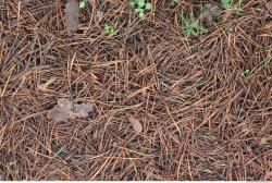 Photo of Various Textures